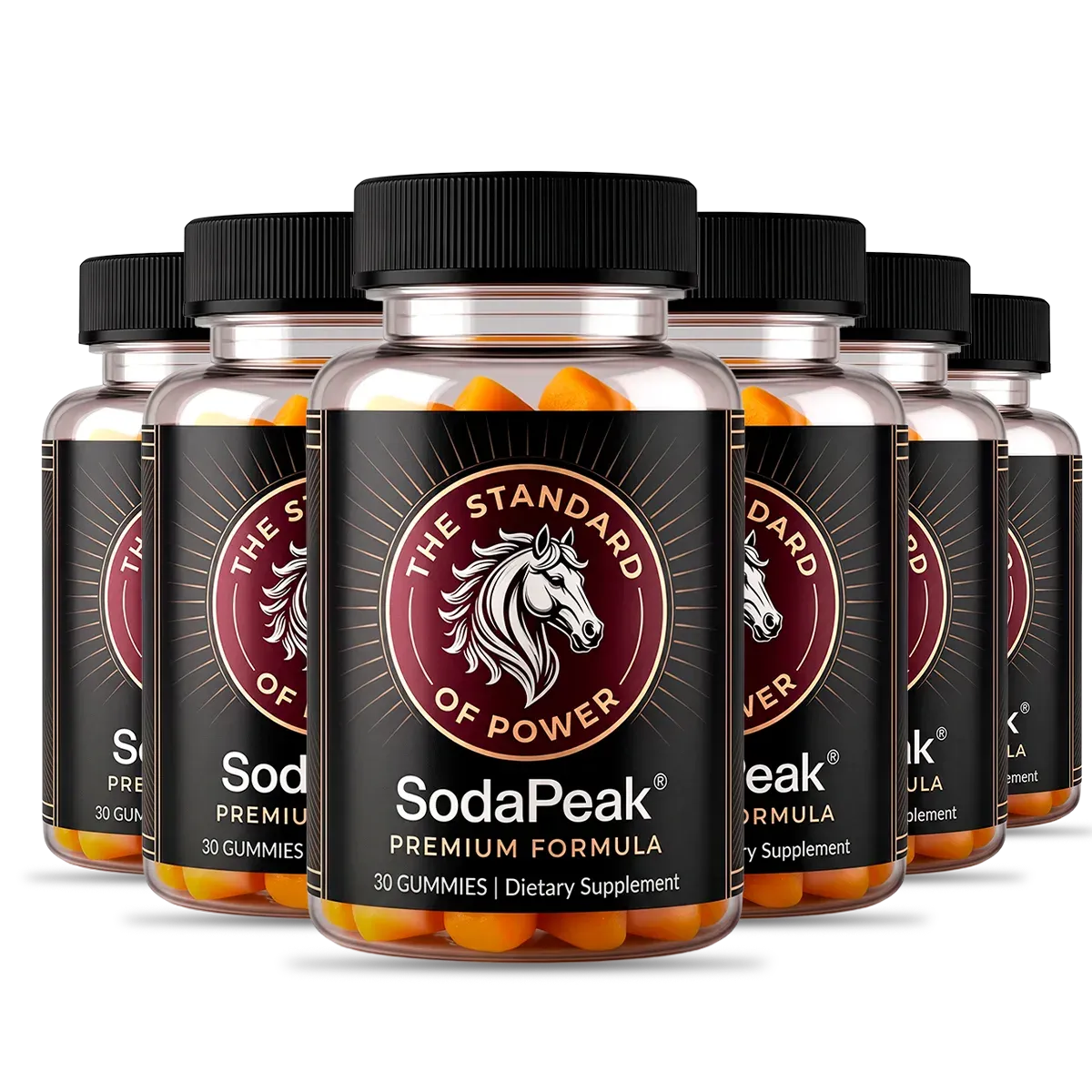SodaPeak six-bottle kit