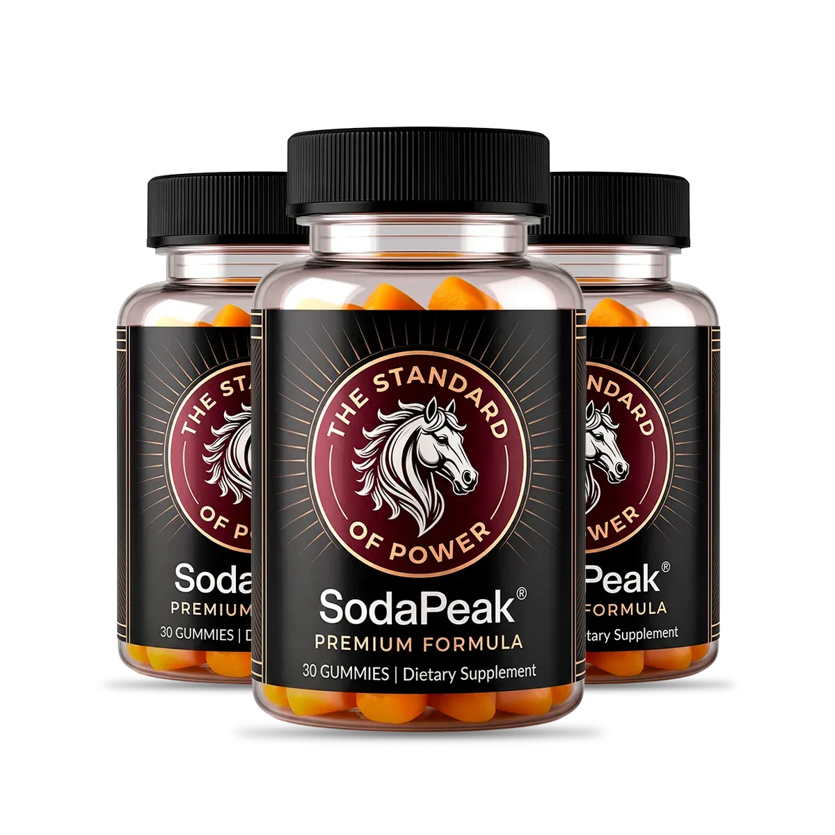 SodaPeak three-bottle kit